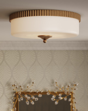 Images Shw1000-0161_14.jpg